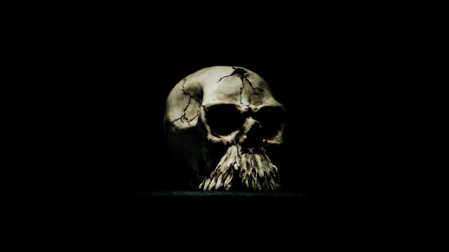 Skull beard black background light free wallpaper for desktop - medium preview image