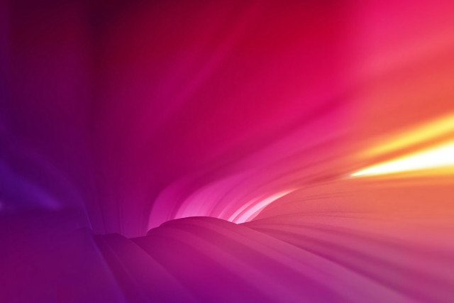 Colorful background white flower pink free wallpaper for desktop - medium preview image