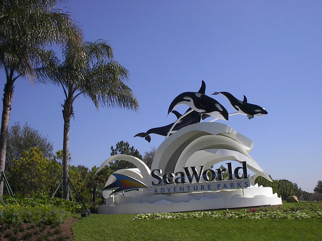 Seaworld marine park dolphins sign free wallpaper for desktop - medium preview image