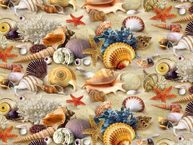 Colorful sea shells starfish beach #2 free wallpaper for desktop - medium preview image