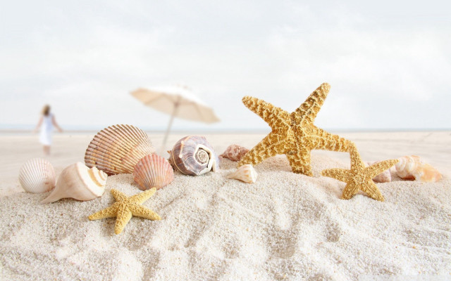 Starfish shells umbrellas beach woman free wallpaper for desktop - medium preview image