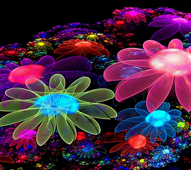 Flowers dark black background group #2 free wallpaper for tablet - medium preview image