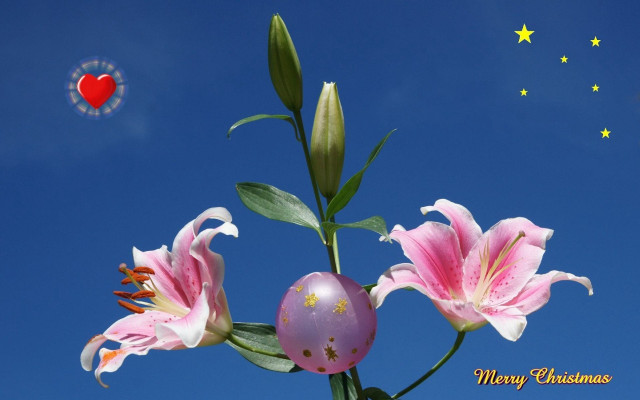 Pink flower heart blue sky free wallpaper for desktop - medium preview image