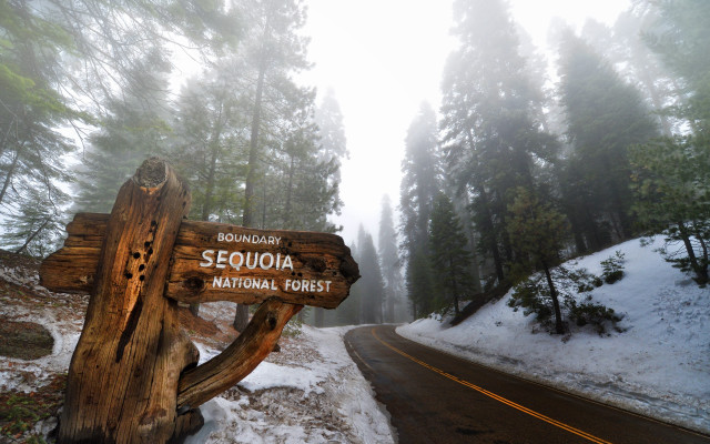 Wooden sign road woods snow free wallpaper for desktop - medium preview image