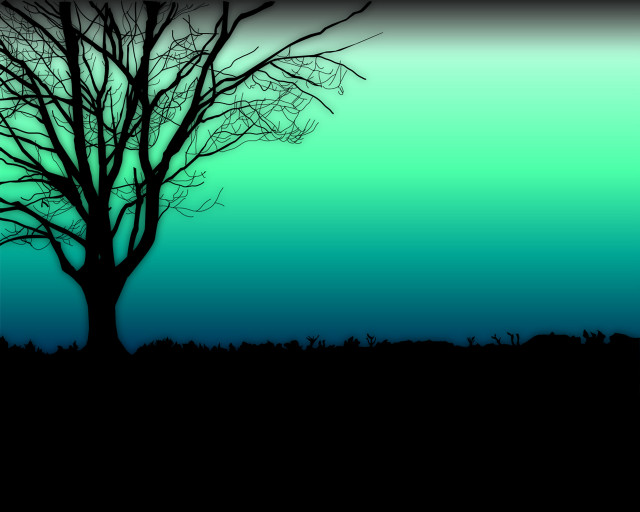 Tree no leaves field blue free wallpaper for desktop - medium preview image