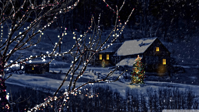 House christmas tree snow night free wallpaper for desktop - medium preview image
