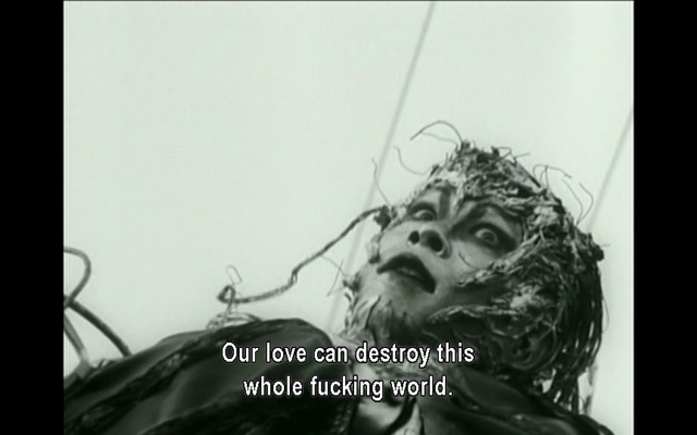 Bearded man black jacket love free wallpaper for desktop - medium preview image