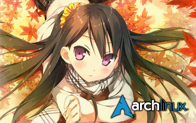 Girl white shirt long hair free wallpaper for desktop - medium preview image