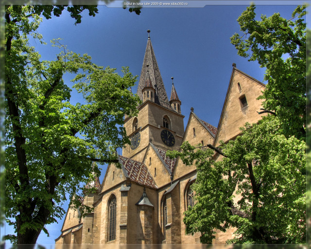 Gothic church clock tower tree free wallpaper for desktop - medium preview image