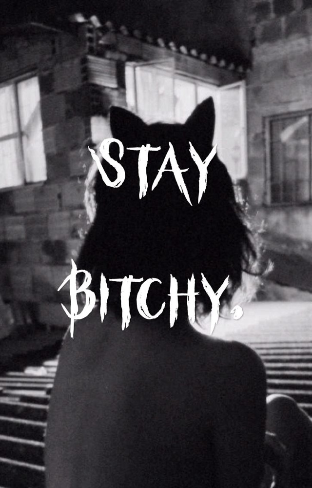 Person chair cat back stay free wallpaper for mobile - medium preview image