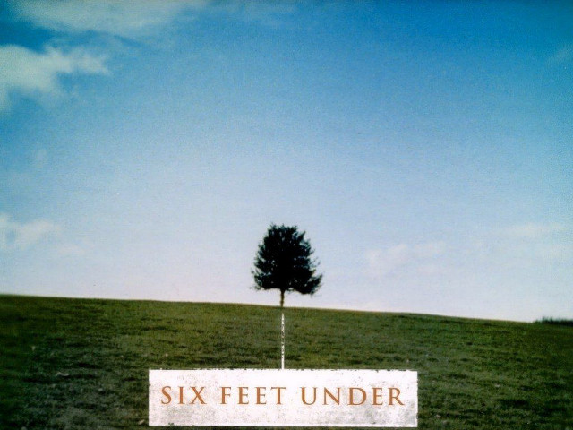 Six feet under tree field free wallpaper for desktop - medium preview image