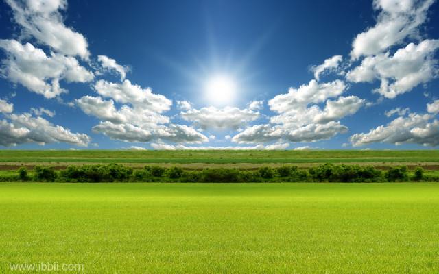 Sunlit field grass trees blue #2 free wallpaper for desktop - medium preview image