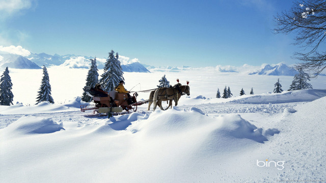 Sleigh ride horses snow mountains free wallpaper for desktop - medium preview image