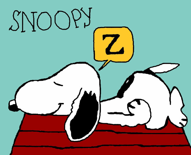 Snoopy dog laying rug speech free wallpaper for desktop - medium preview image