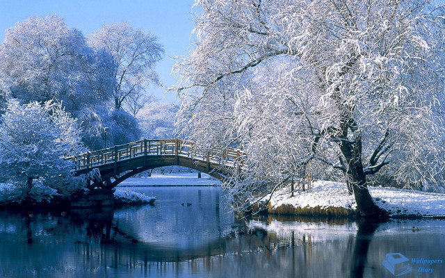 Bridge river snow trees small #4 free wallpaper for desktop - medium preview image