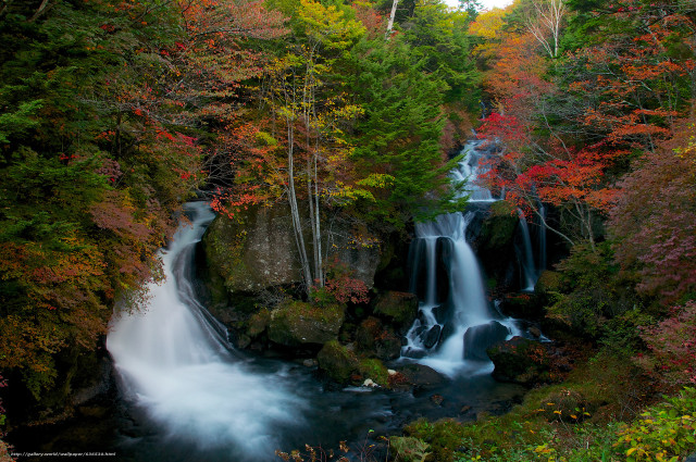 Waterfall forest fall foliage stream free wallpaper for desktop - medium preview image