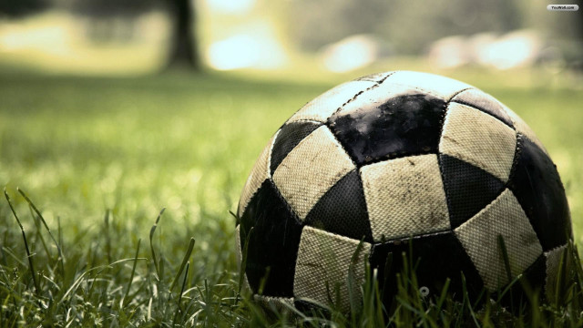 Soccer ball grass park trees free wallpaper for desktop - medium preview image