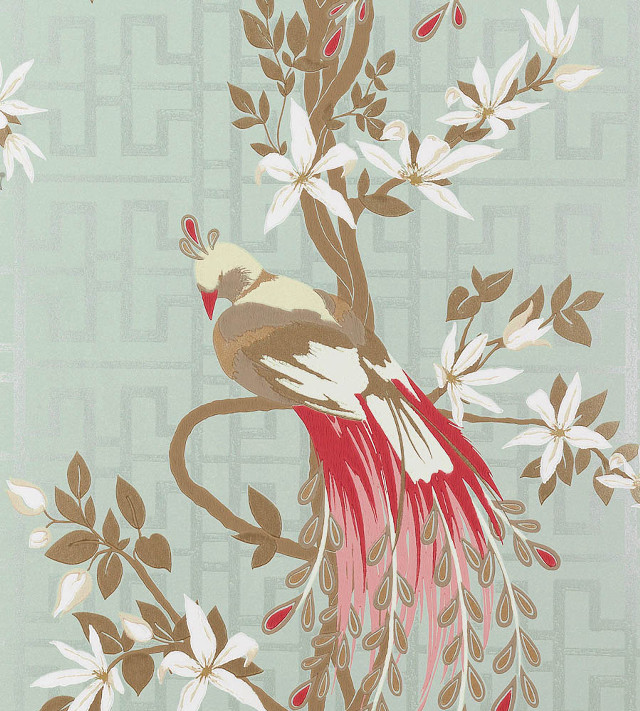 Bird red tail branch white free wallpaper for tablet - medium preview image