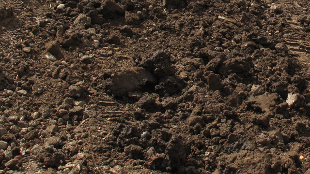 Man riding horse dirt field free wallpaper for desktop - medium preview image