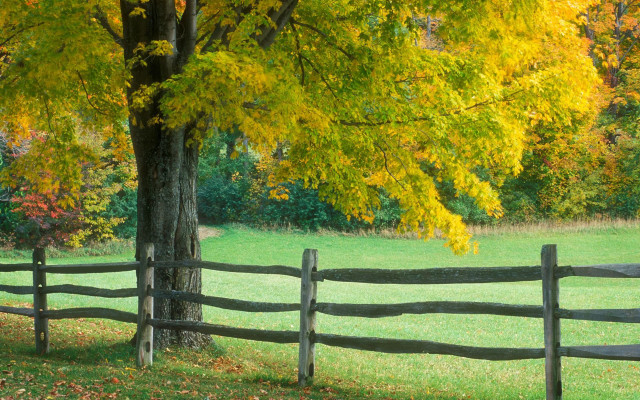Wooden fence yellow leaves field #2 free wallpaper for desktop - medium preview image