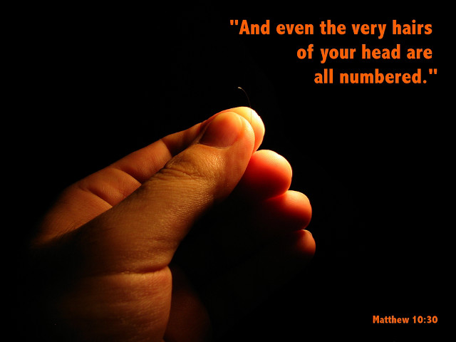 Person holding cigarette quote on free wallpaper for desktop - medium preview image