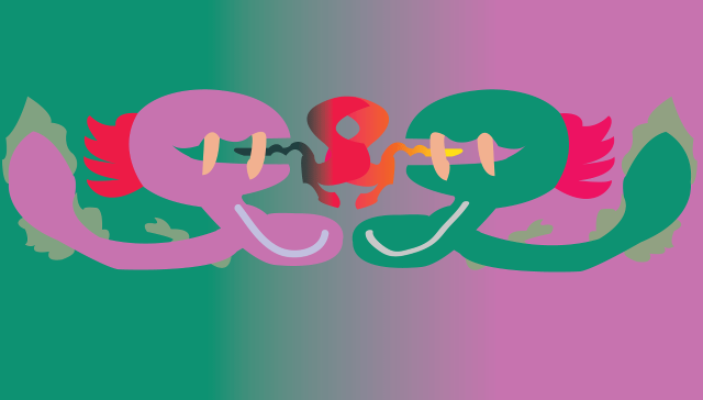 Colorful dragon name chest wings free wallpaper for desktop - medium preview image