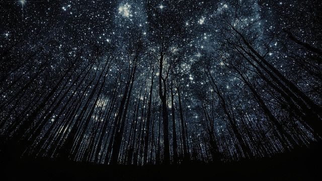 Night sky stars forest mountains free wallpaper for desktop - medium preview image
