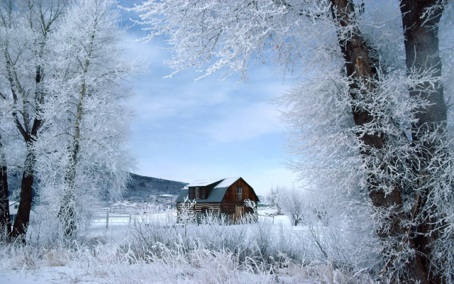 Cabin woods snow trees mountain free wallpaper for desktop - medium preview image