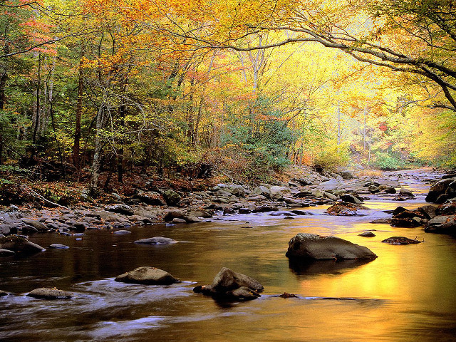 Hudson river school autumn leaves free wallpaper for desktop - medium preview image
