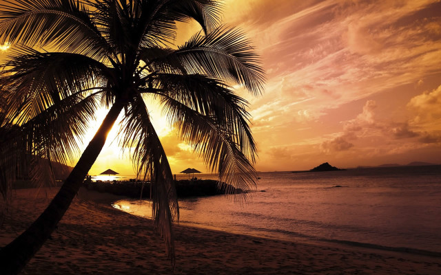 Palm tree beach sunset island #3 free wallpaper for desktop - medium preview image