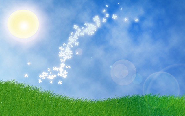 Grass field sun background white free wallpaper for desktop - medium preview image