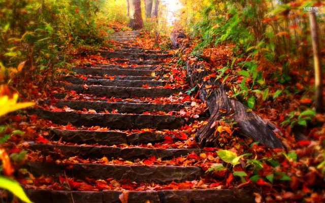 Steps woods fall colors leaves free wallpaper for desktop - medium preview image
