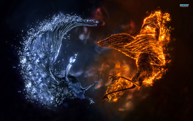 Fire water bird flame aqua free wallpaper for desktop - medium preview image