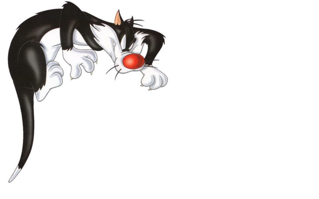 Black white cat red nose free wallpaper for desktop - medium preview image