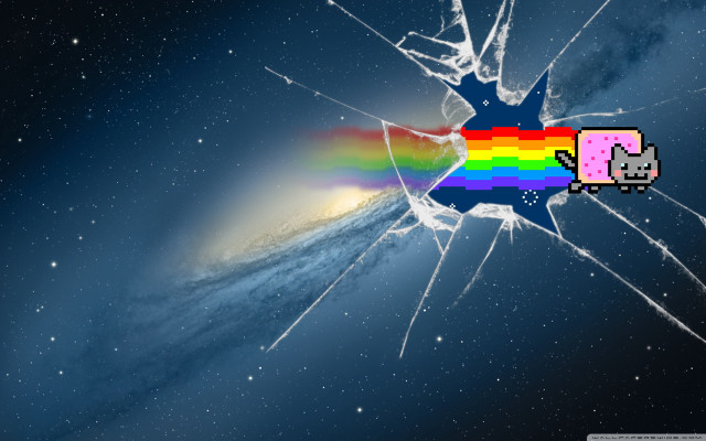 Broken glass rainbow cat side #3 free wallpaper for desktop - medium preview image