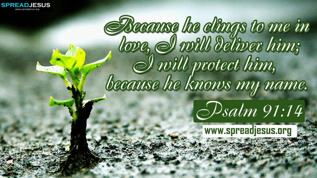 Small plant bible verse green free wallpaper for desktop - medium preview image