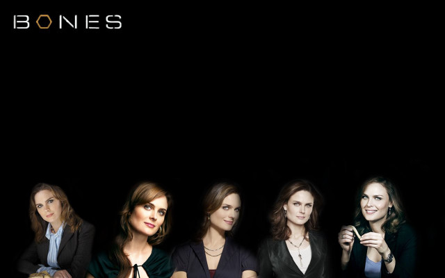 Women group sitting black background free wallpaper for desktop - medium preview image