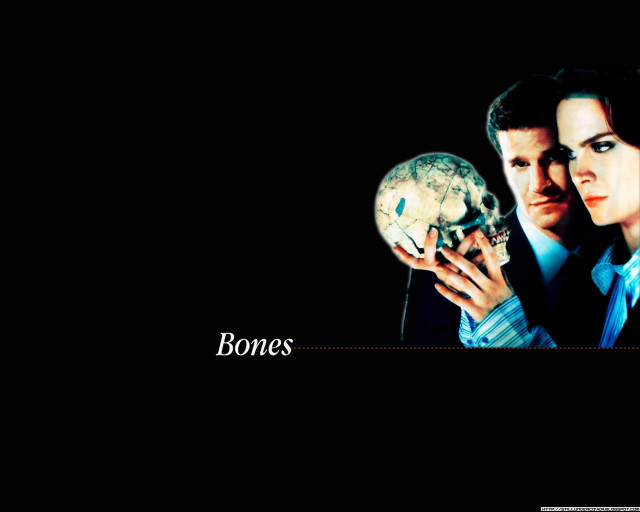 Man woman holding skull caption free wallpaper for desktop - medium preview image