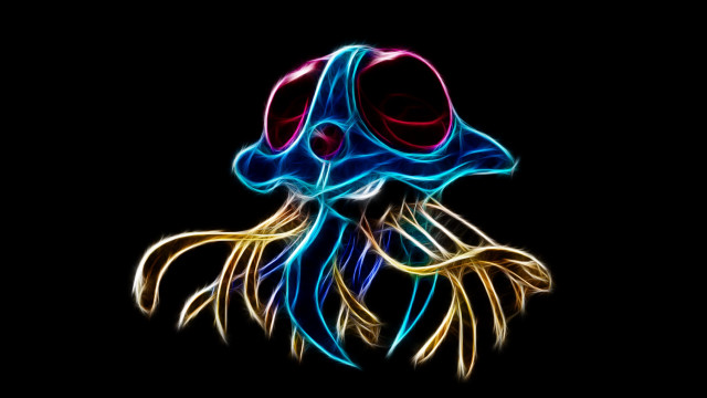 Colorful jellyfish black background red free wallpaper for desktop - medium preview image