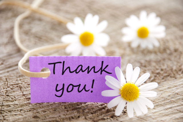 Purple thank you card daisies free wallpaper for desktop - medium preview image