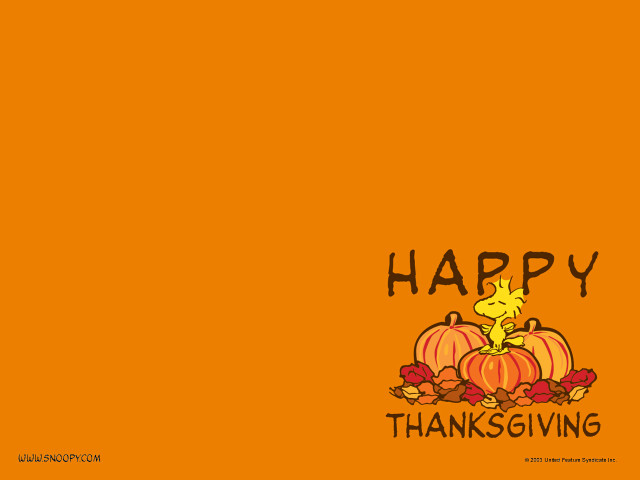 Happy thanksgiving cat pumpkin card #2 free wallpaper for desktop - medium preview image