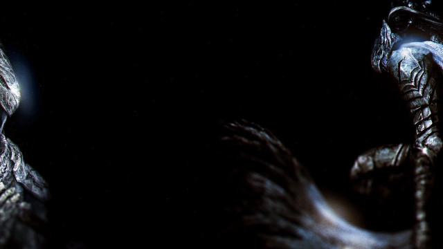 Black background bird light head free wallpaper for desktop - medium preview image