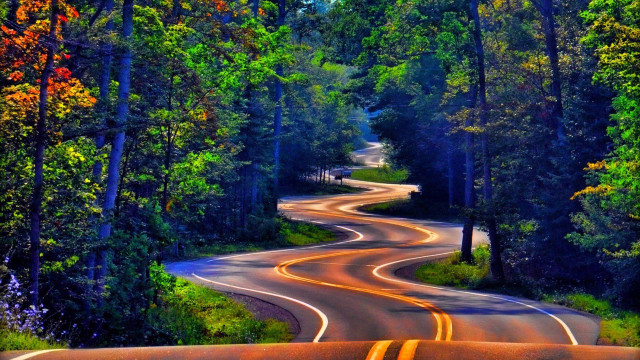 Psychedelic curved road trees night free wallpaper for desktop - medium preview image