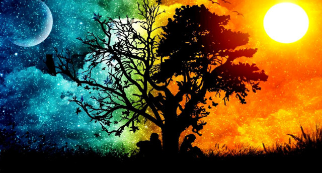 Tree rainbow sky stars full free wallpaper for desktop - medium preview image