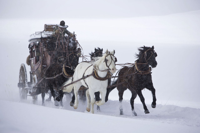 Horse carriage snow field matte free wallpaper for desktop - medium preview image