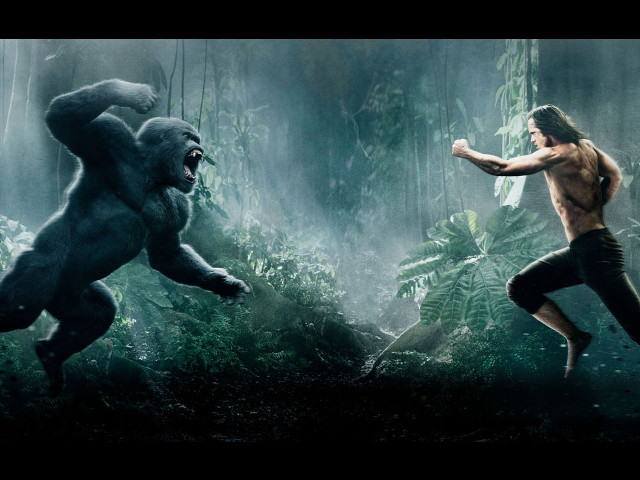 Man jungle gorilla background night free wallpaper for desktop - medium preview image