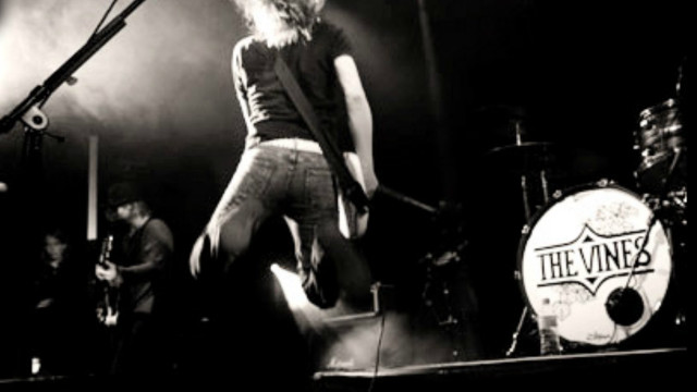 Man standing stage guitar microphone free wallpaper for desktop - medium preview image