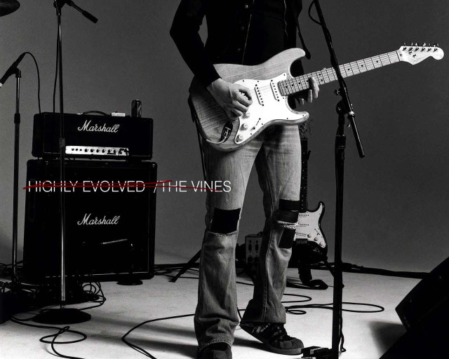 Man microphone guitar stage amps free wallpaper for desktop - medium preview image