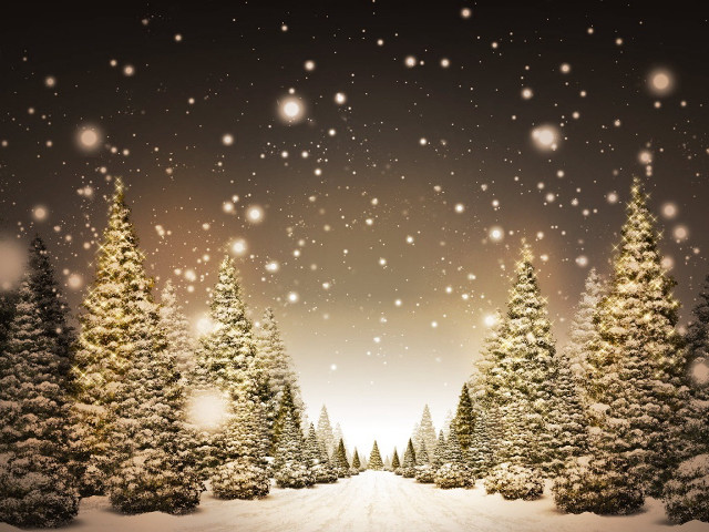 Snowy scene trees snowflakes ground #2 free wallpaper for desktop - medium preview image