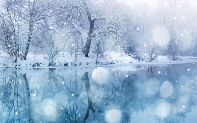 Snowy scene lake trees snow free wallpaper for desktop - medium preview image